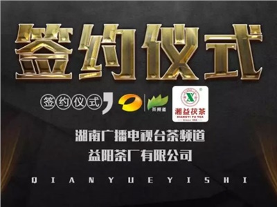 湘益茯，美茗揚 丨湘益茯茶與茶頻道達成長(cháng)期戰略合作