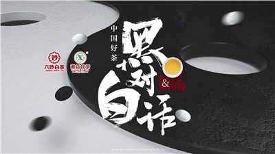 首屆黑白對話(huà)高峰論壇圓滿(mǎn)落幕！湘益茯茶備受關(guān)注！