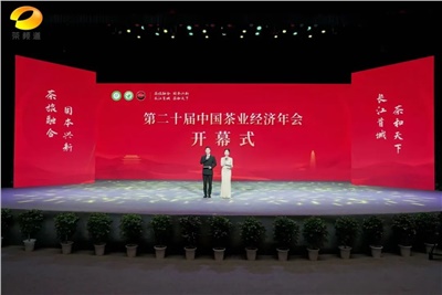 【聚焦第二十屆中國茶業(yè)經(jīng)濟年會(huì )】益陽(yáng)茶廠(chǎng)榮獲“民族團結互助企業(yè)”、“2024年度茶業(yè)重點(diǎn)企業(yè)”榮譽(yù)稱(chēng)號
